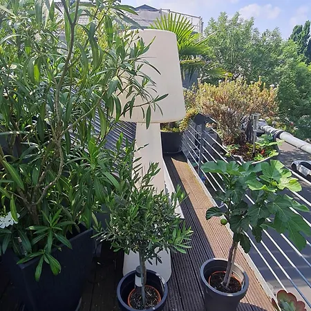 Athome Bonn